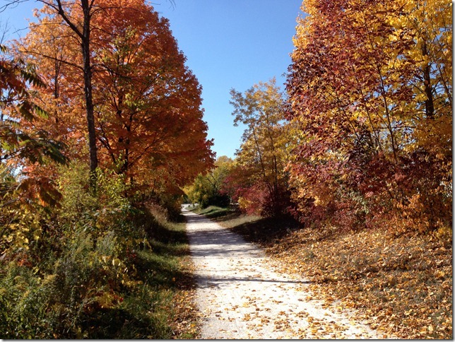fall-bike-path